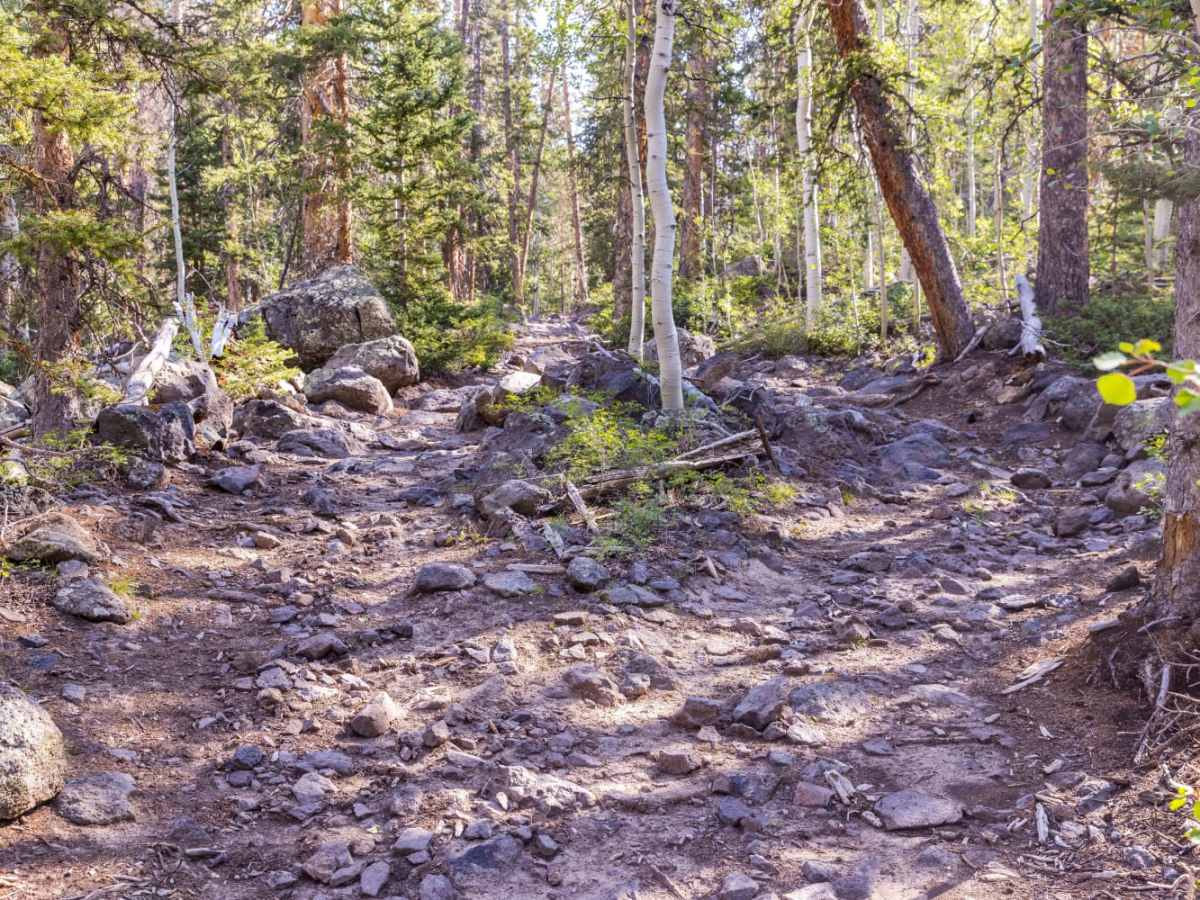 Deep Creek Trail photo 5