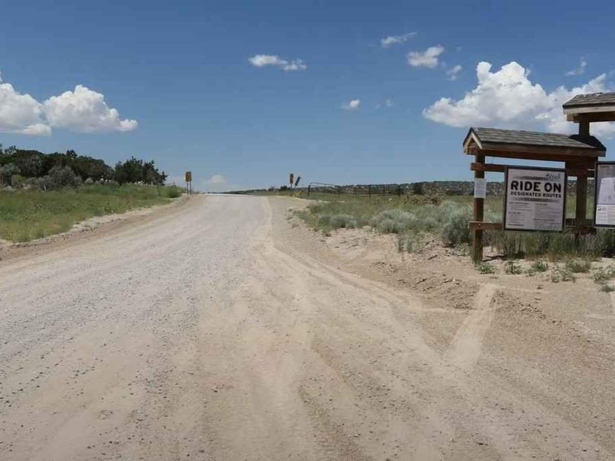 Judd Road Petroglyph Site trail photo