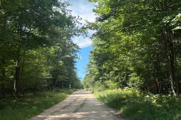 Plagany Trail