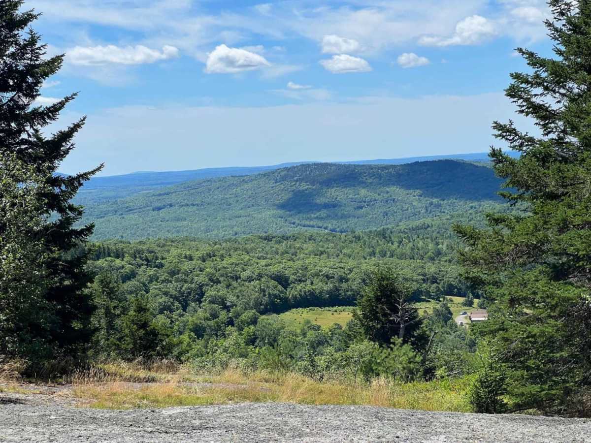 Bald Mountain photo 6