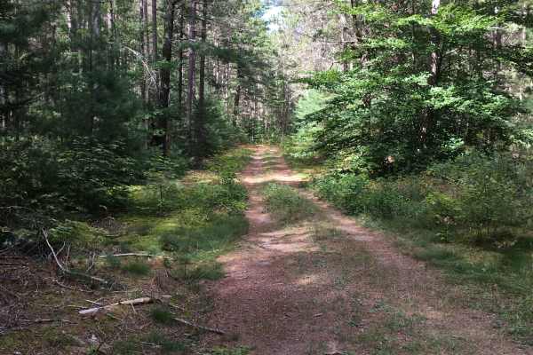 Wolski Road 