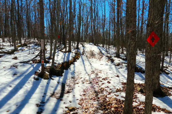 Sutton Bluff ATV 14 North - SB 14