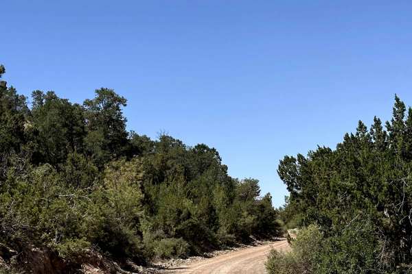La Luz South