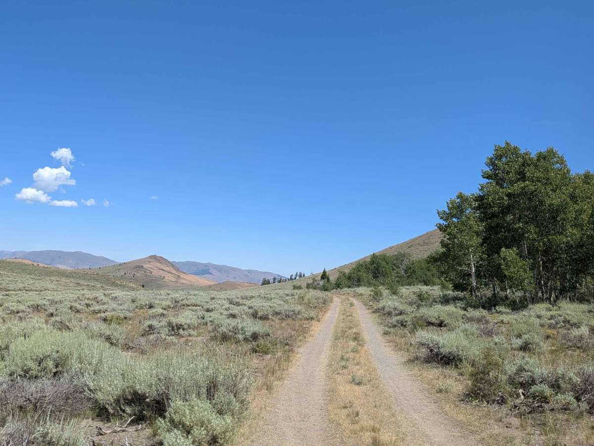 Two Road Road - FS 31358D photo 2
