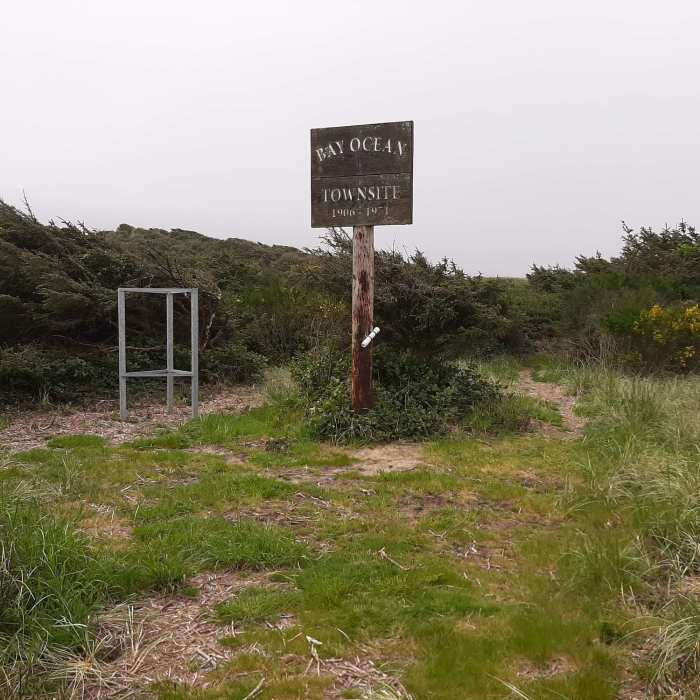 Near Bayocean Peninsula Loop Trail