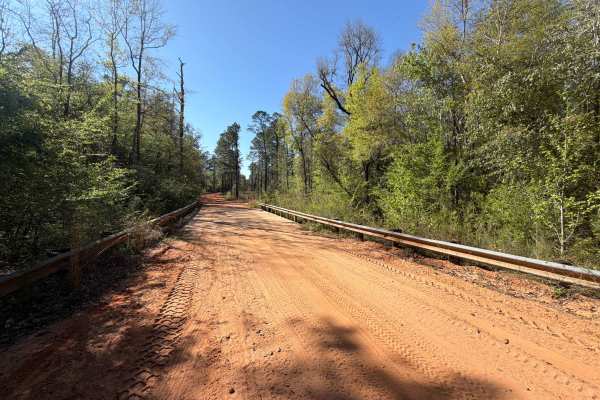 Mattie Kennedy Road