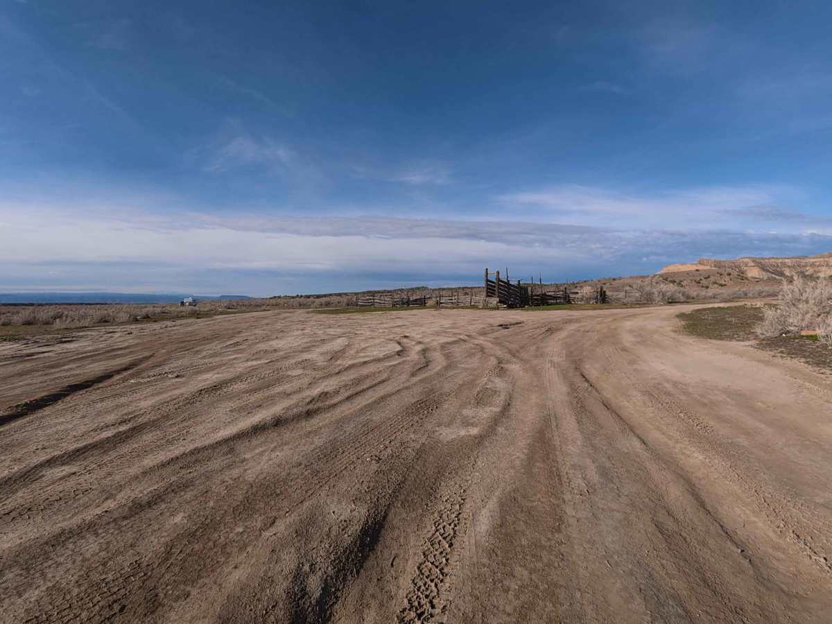 BLM 132 photo 4