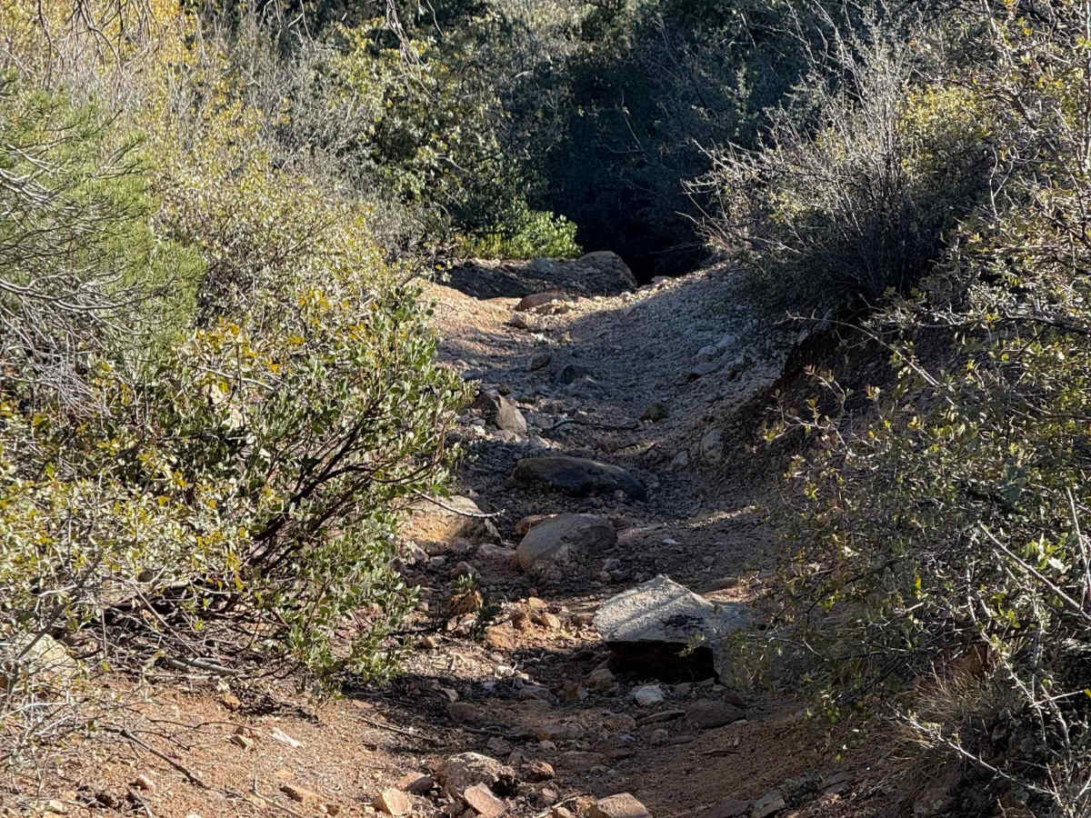 Cutoff Trail #22  photo 6