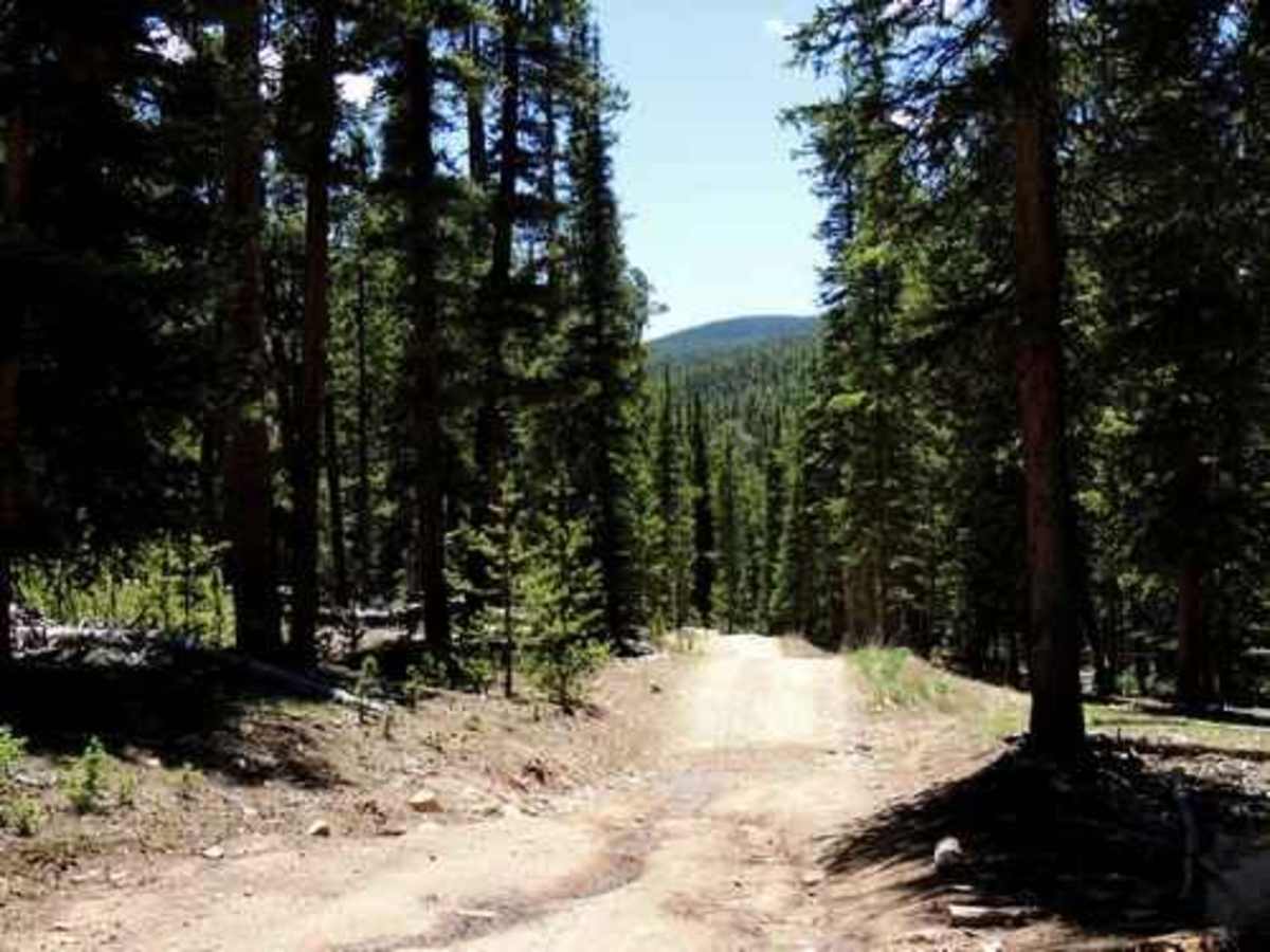 Slaughterhouse Gulch photo 4