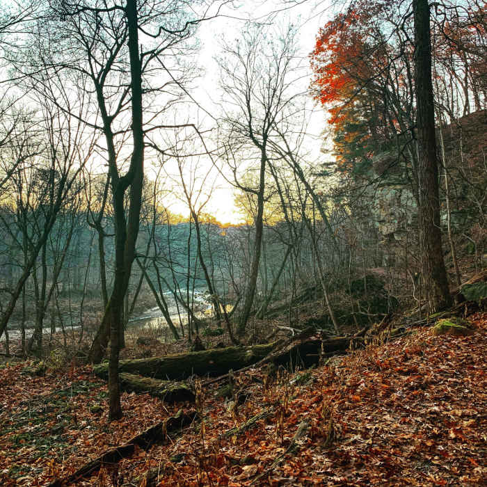 Near Lower Picnic Area Trail