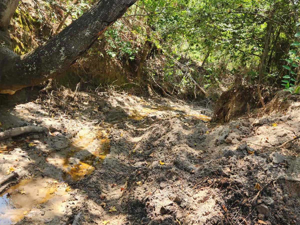 Spring Fed Creek photo 5