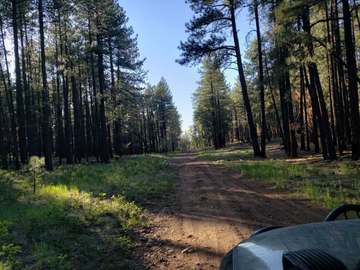 Dorsey Spring Trailhead photo 2