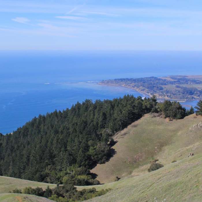 Near Coastal Trail, Pantoll to West Ridgecrest Boulevard