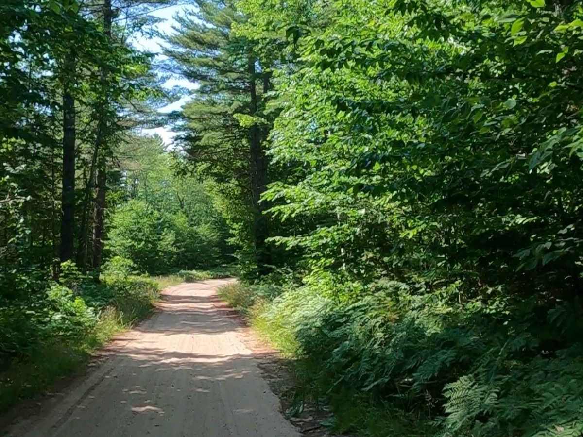Camp Truck Trail/ Tower Road photo 3