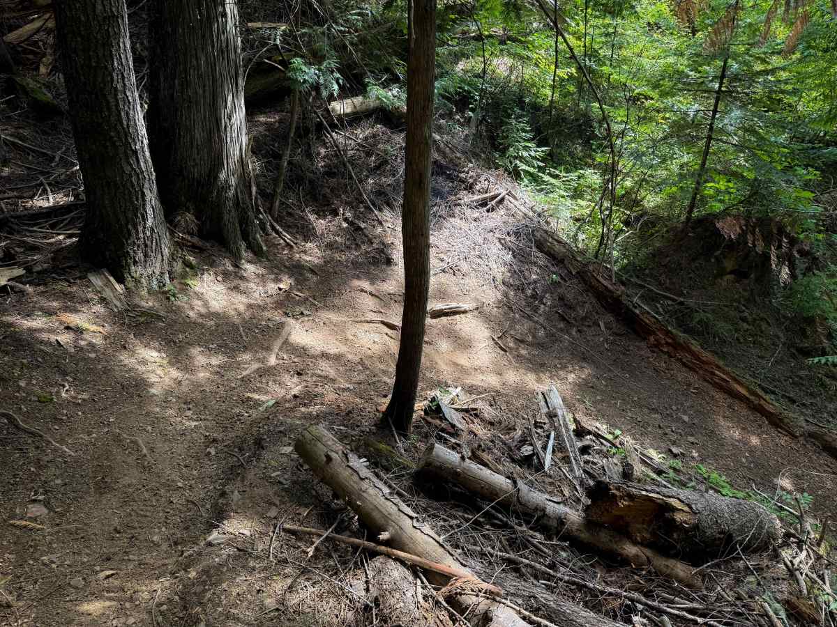 Steep Creek  photo 4