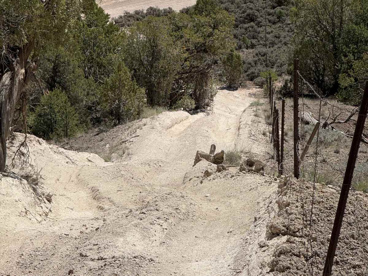 BLM 8468 trail photo
