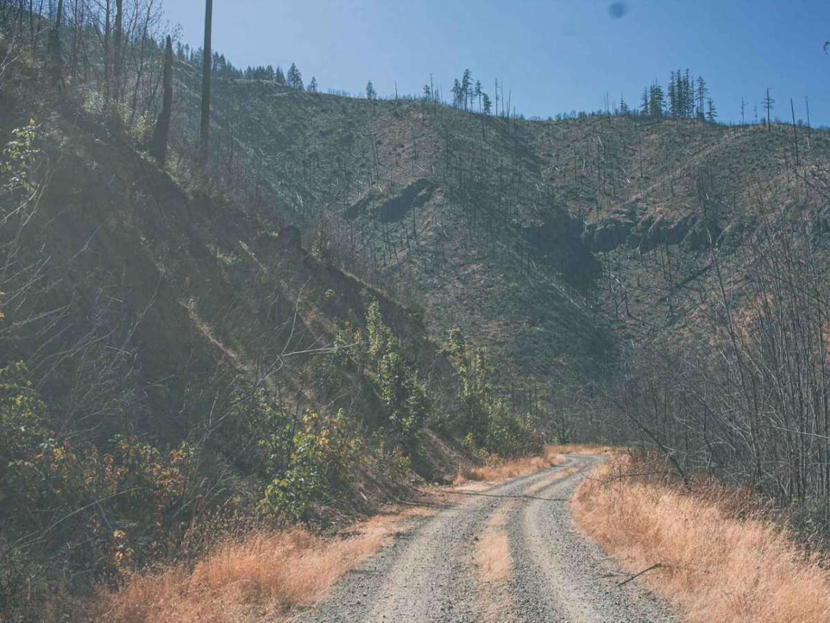 Calf Ridge photo 3