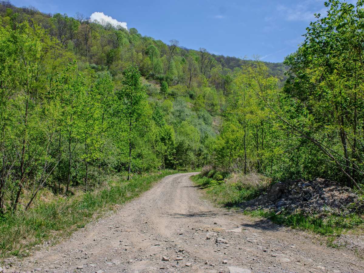 SWG1 trail photo