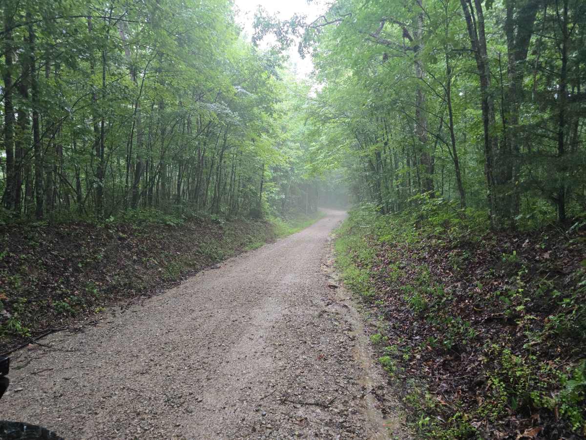 Laurel Ridge Road - FS 637 photo 2