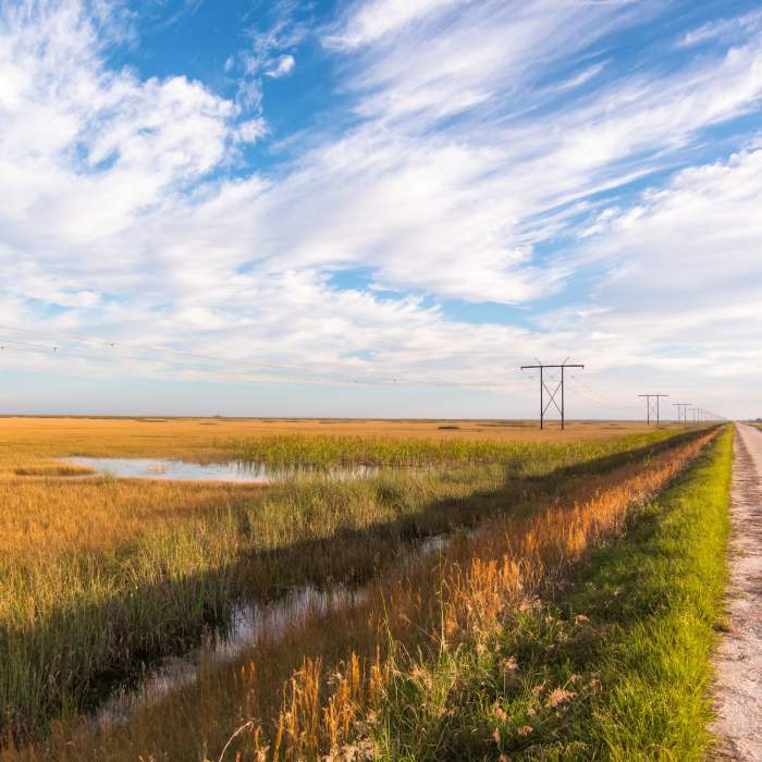 Near Everglades Conservation Levee Greenway