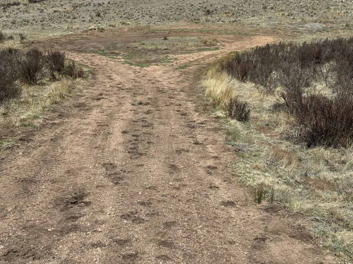 Mud Springs Road photo 6
