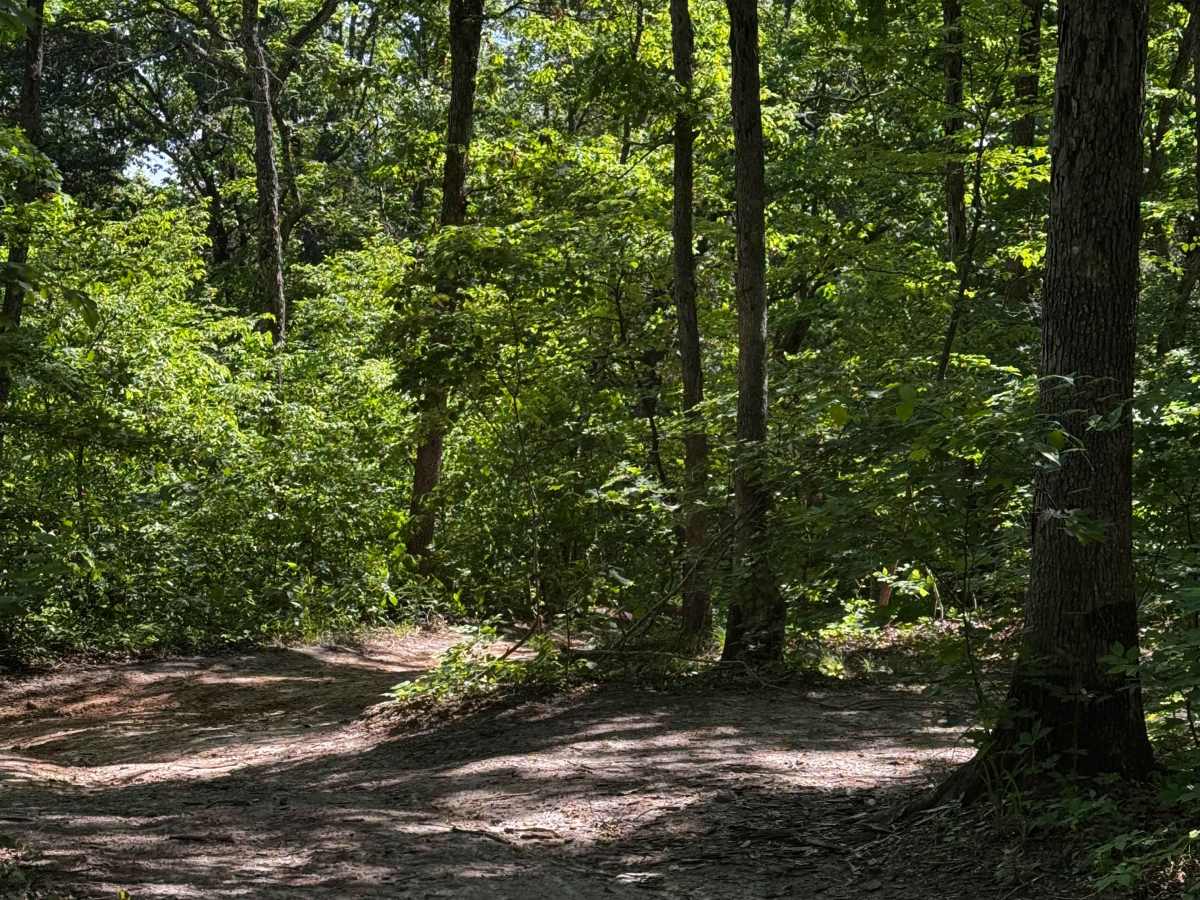 Inner Track 27 photo 2