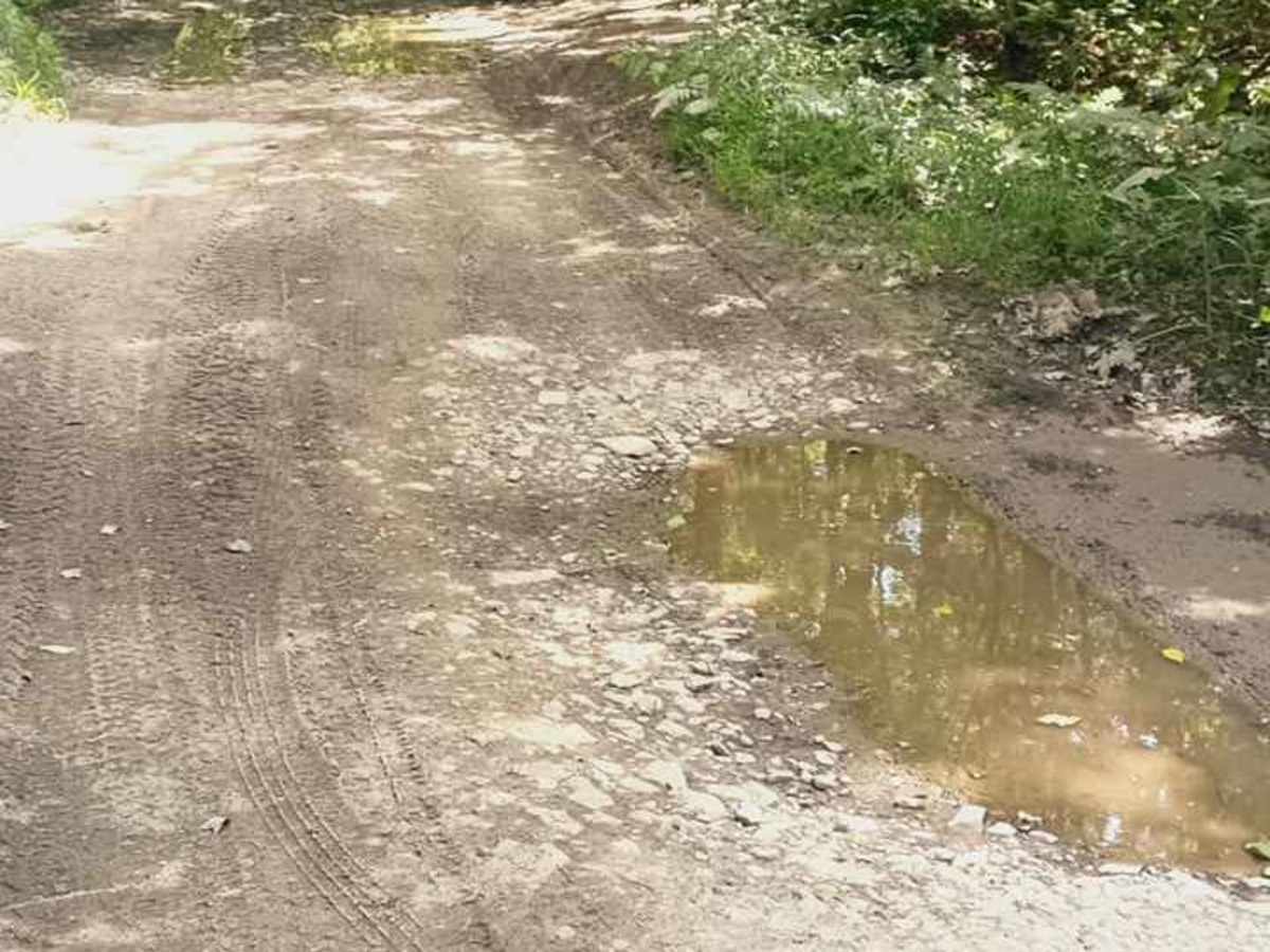Owego Hill Road photo 2