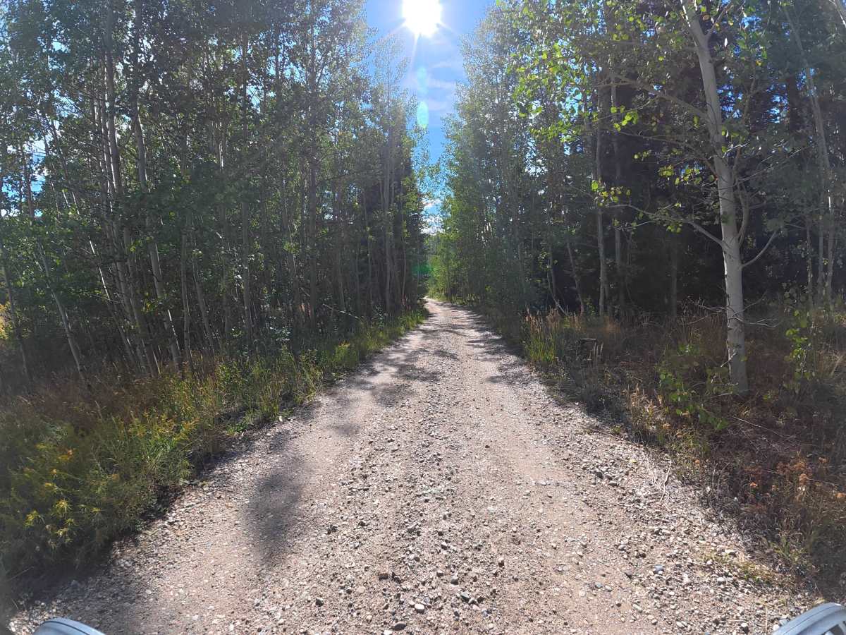 Spruce Creek Road photo 5