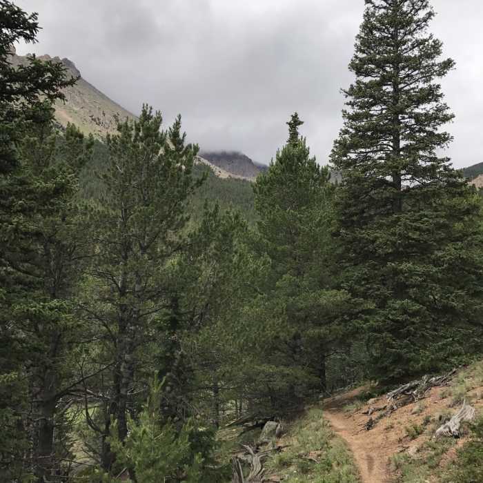 Near Elk Park Trail