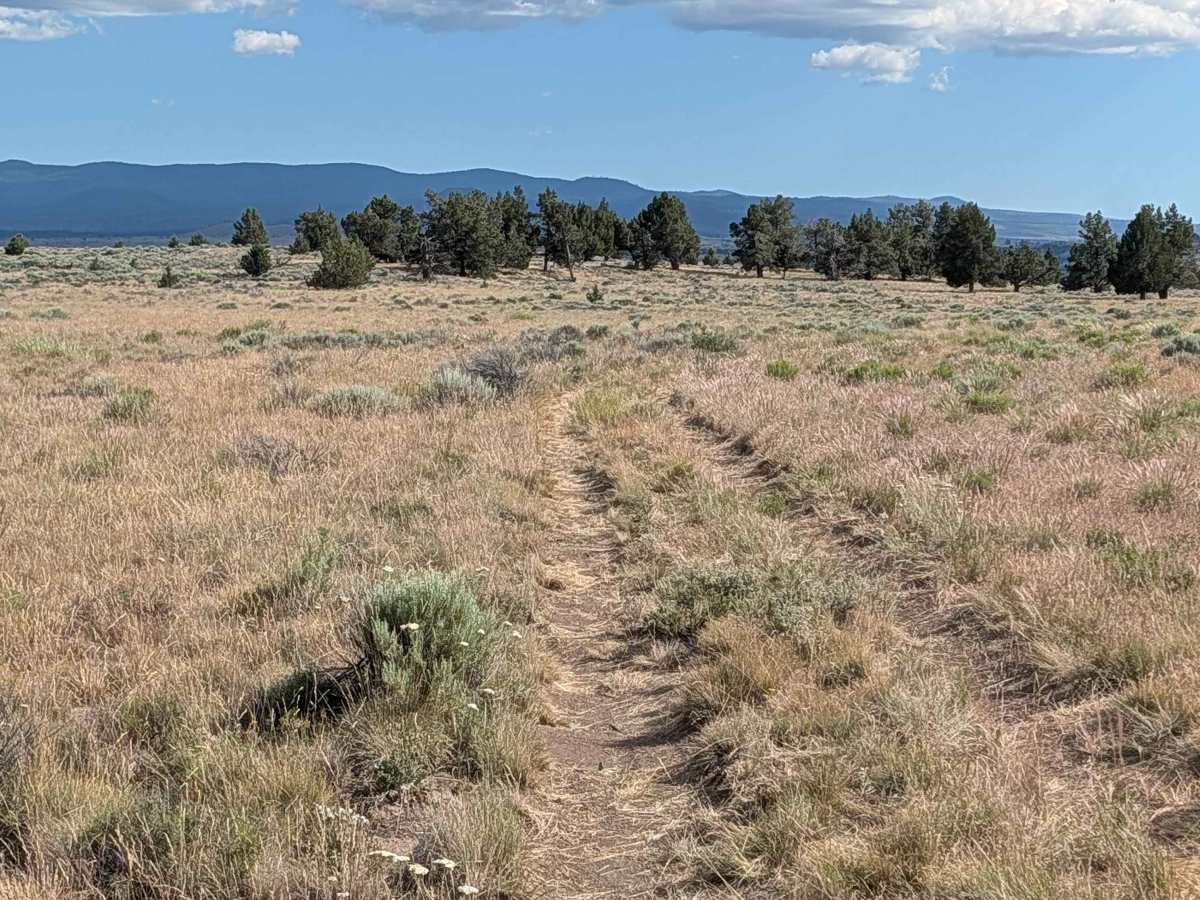 Sheep Camp Butte - FS 47N18 photo 4