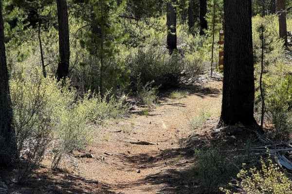 Trail 25 