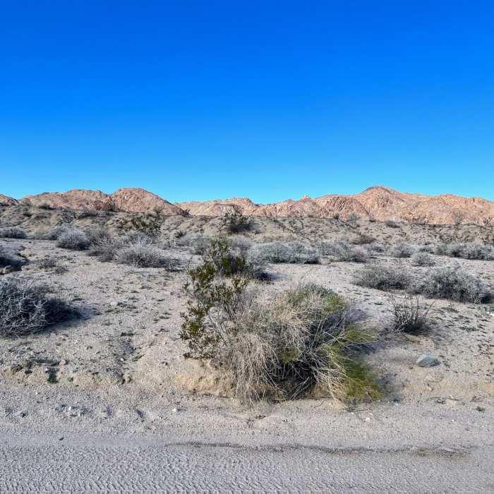 Near Lost Palms Canyon to Victory Palm Oasis