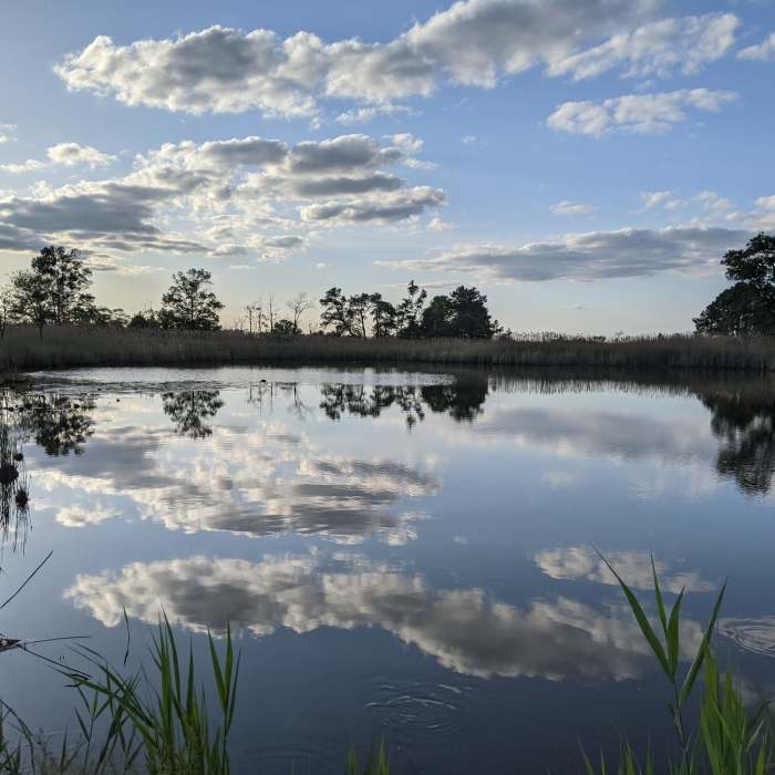 Near Terrapin Park Loop