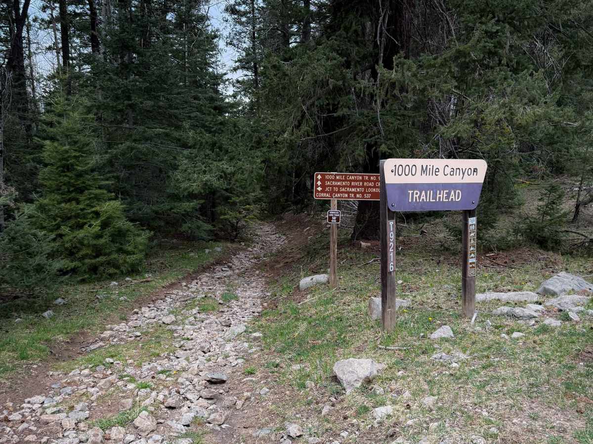1000 Mile Canyon - FS 9216  trail photo