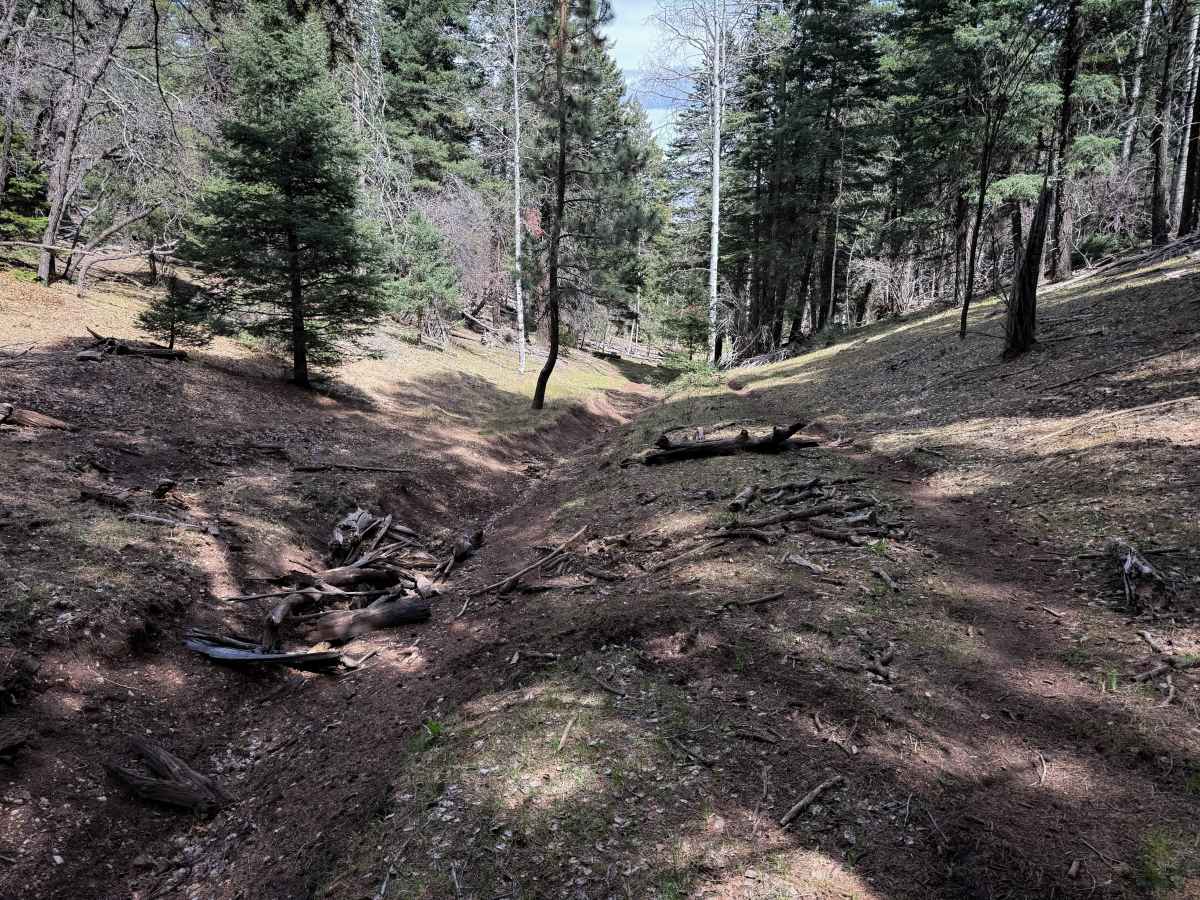 Zinker Canyon Trail  trail photo