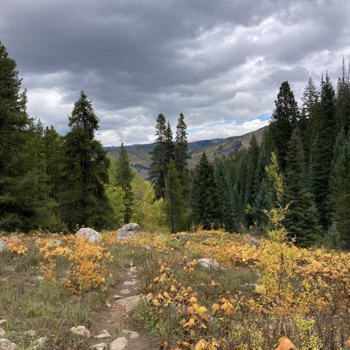 Looking north across the valley towards Vail on the way down the trail. Near Grouse Lake Trail #2127