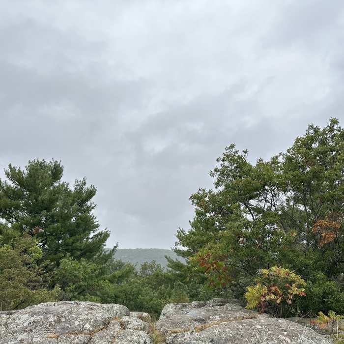Near Eagle Peak Trail