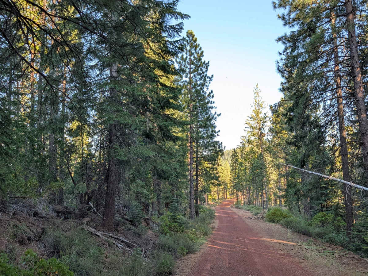 Porcupine Butte North - FS 41N36 photo 4