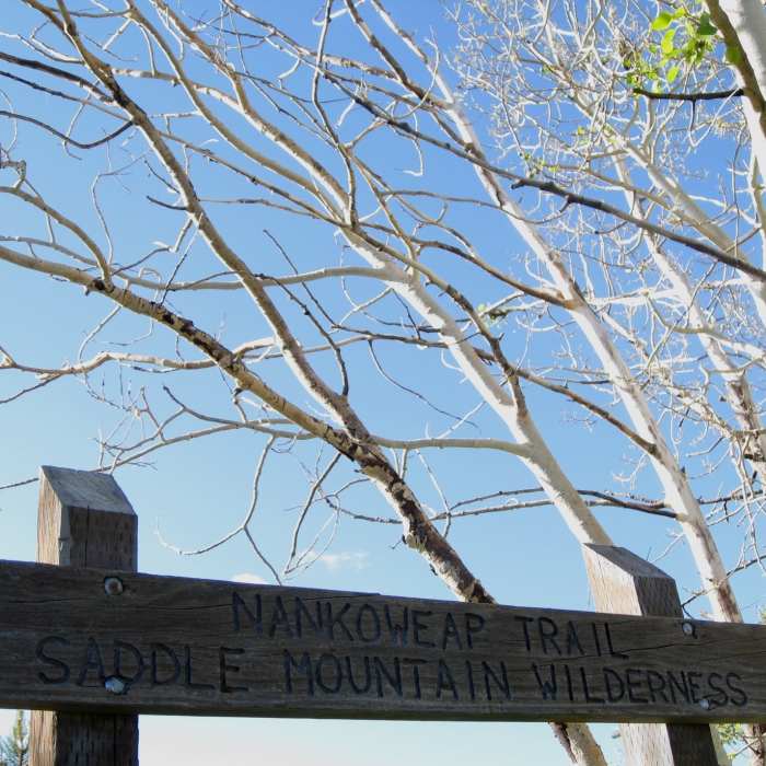 Near Nankoweap Trail to Colorado River