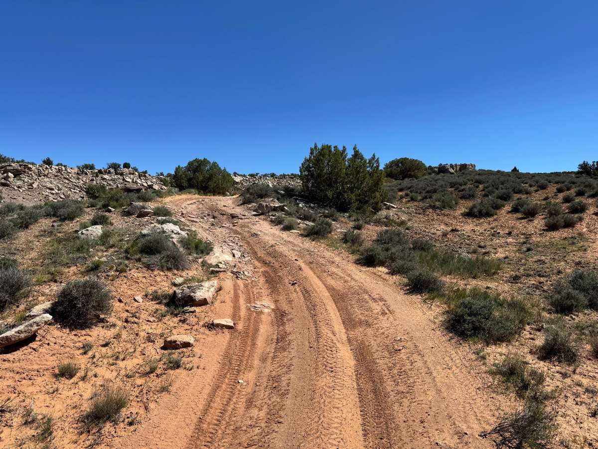 Dome Plateau Trail Spur photo 2