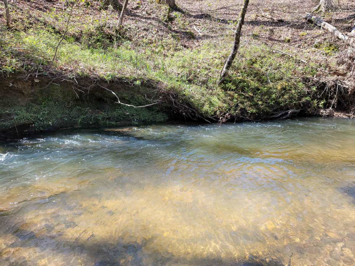 USFSR #607 Bulls Gap photo 6