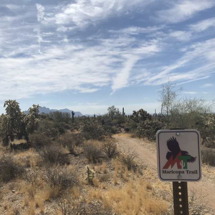 Near Maricopa Trail: Usery Mountain Visitor's Center to Bulldog