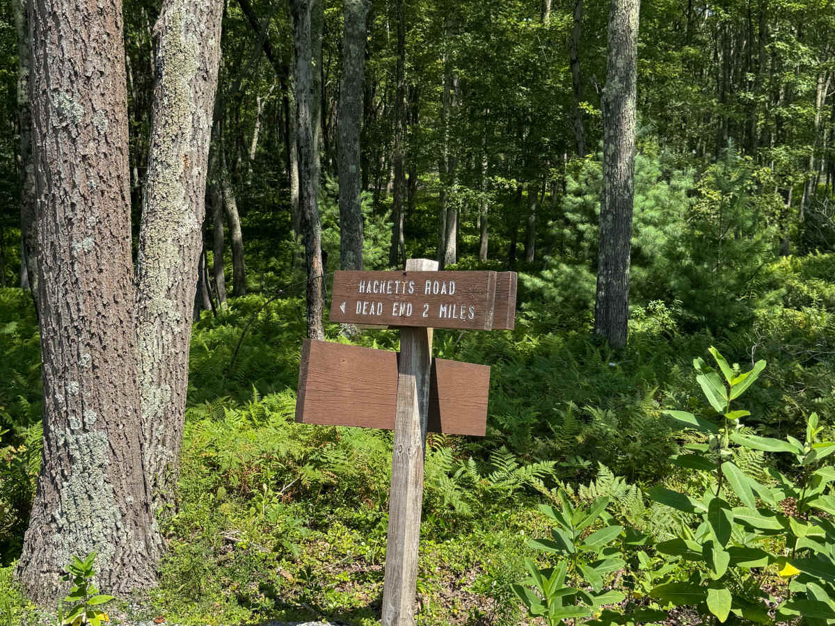 Hackett Road trail photo