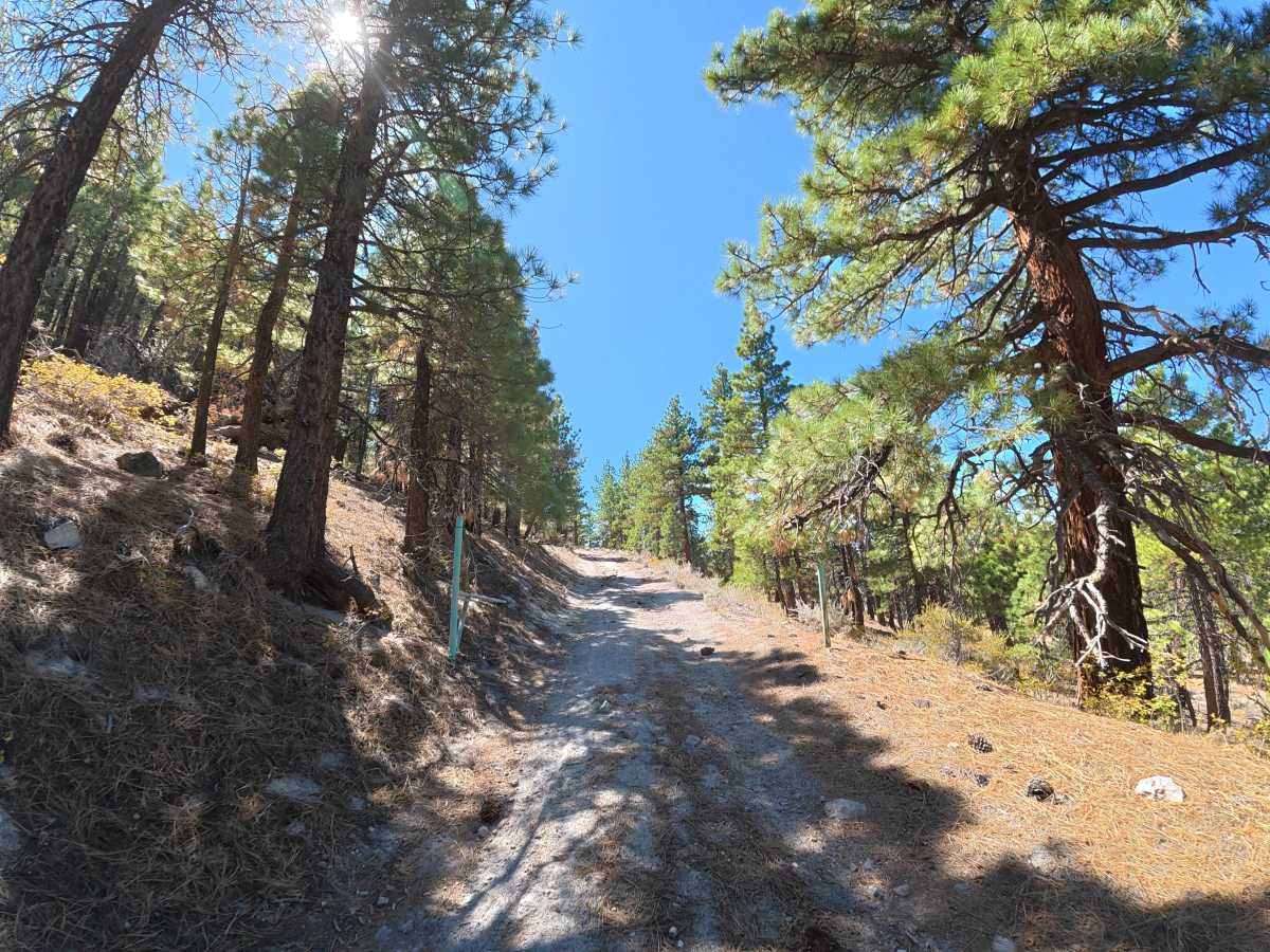 FS 3S05G trail photo
