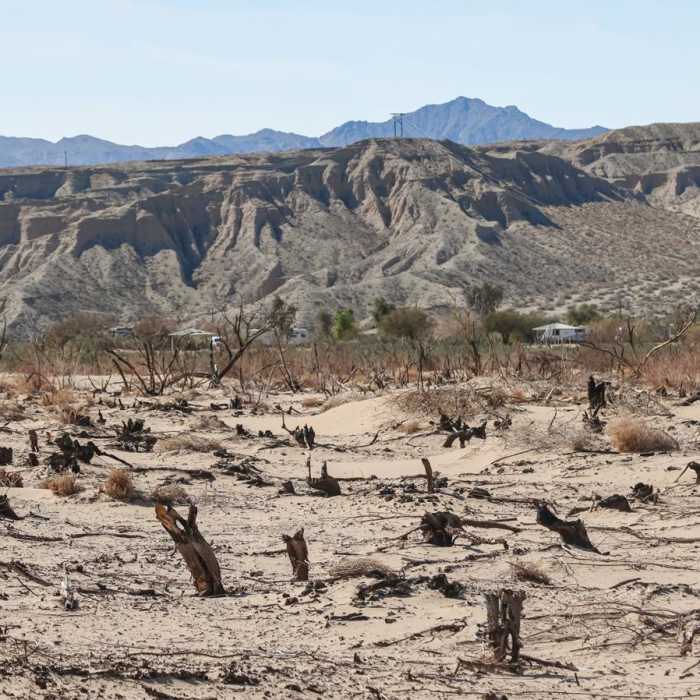 Near Big Sandy Trail