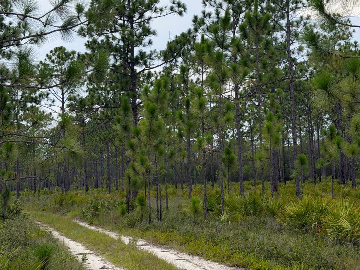 Muddy Crossings photo 5