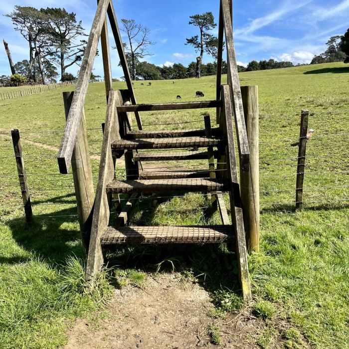 Near Cornwall Park Outer Loop