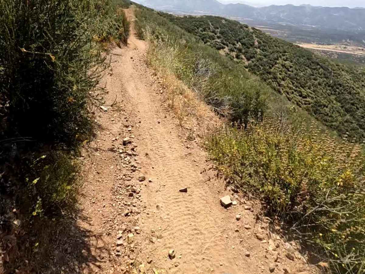 Coyote OHV Trail photo 4