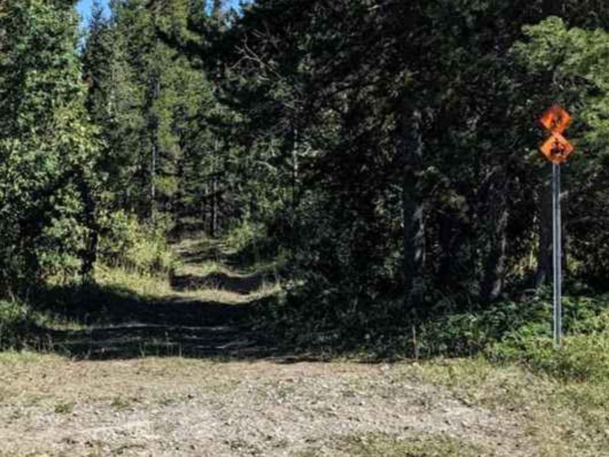 Porcupine Hills Trail 46 trail photo