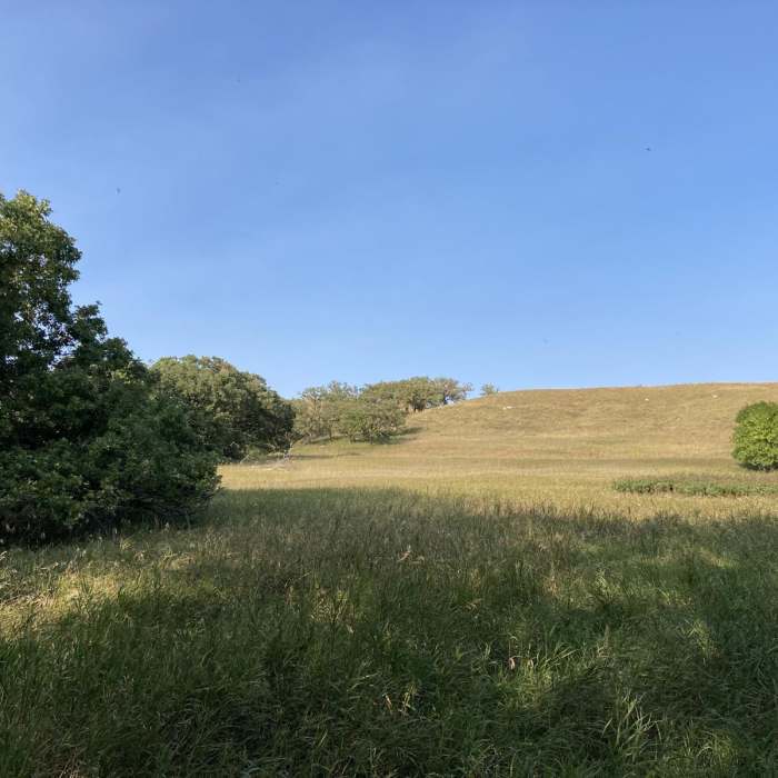 Near Hiking Club Trail at Big Stone Lake State Park Near Hiking Club Trail at Big Stone Lake State Park